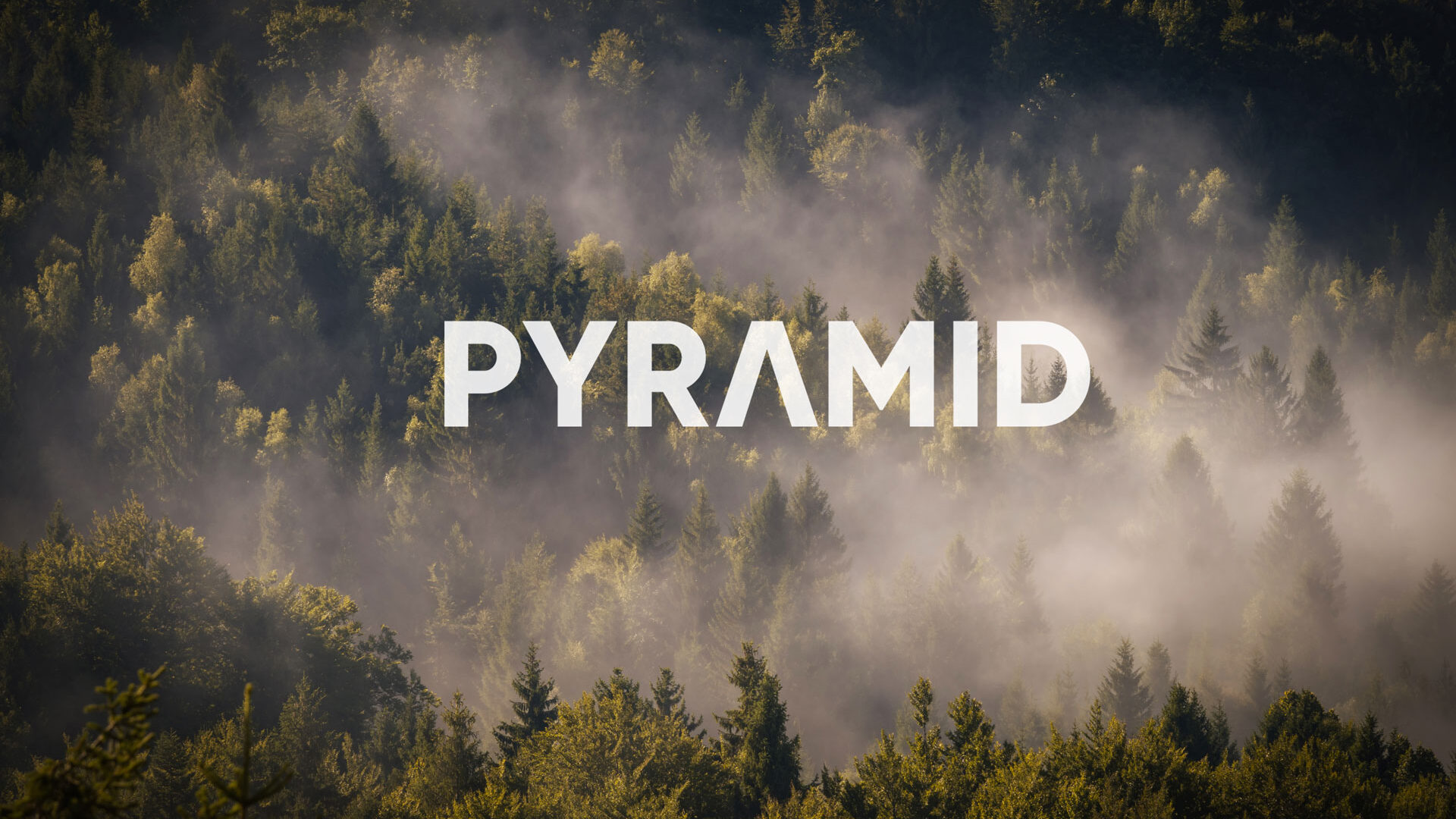 environmental pyramid